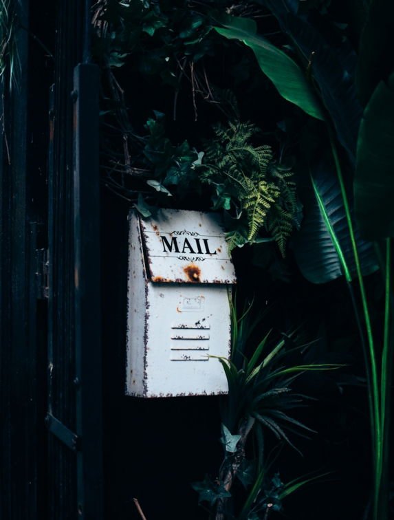 an-old-mailbox-is-surrounded-by-tropical-plants.jpg an old mailbox is surrounded by tropical plants